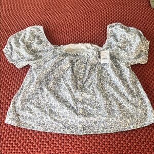 American Eagle Outfitters Blue Floral Crop Top